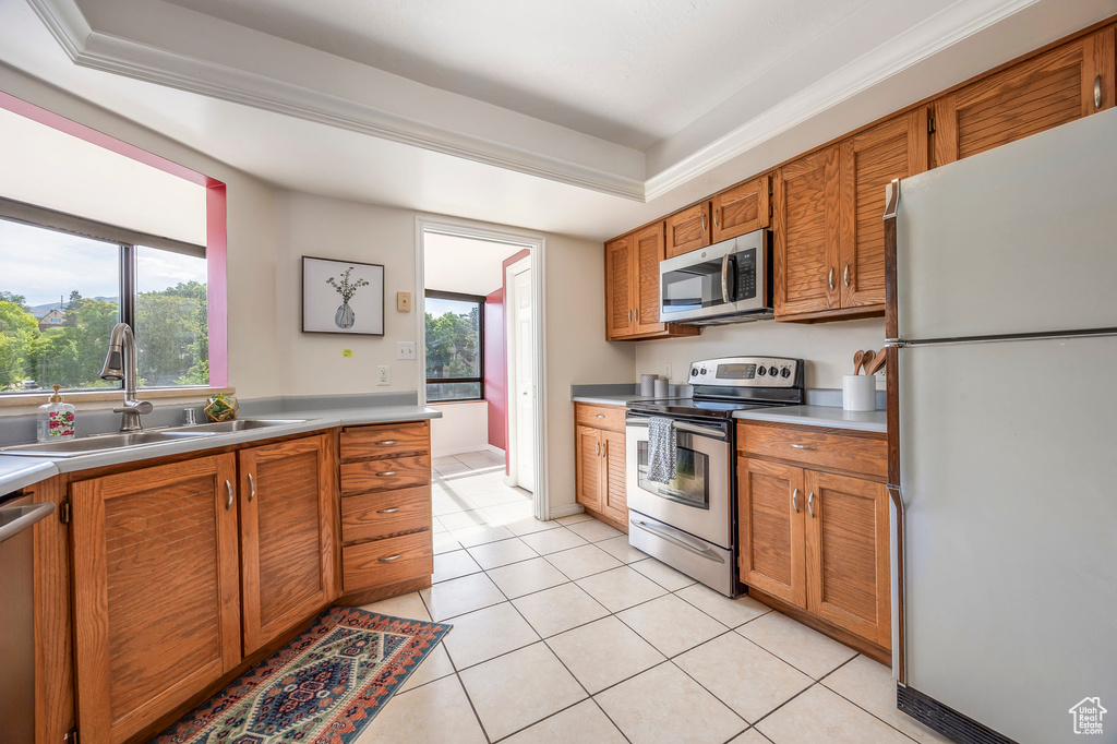 Kitchen with sink, a wealth of natural light, a raised ceiling, and stainless steel appliances