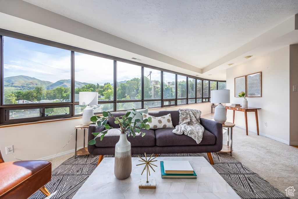 Carpeted living room featuring a mountain view and a textured ceiling