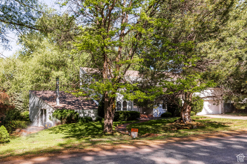 View of property hidden behind natural elements with a front lawn