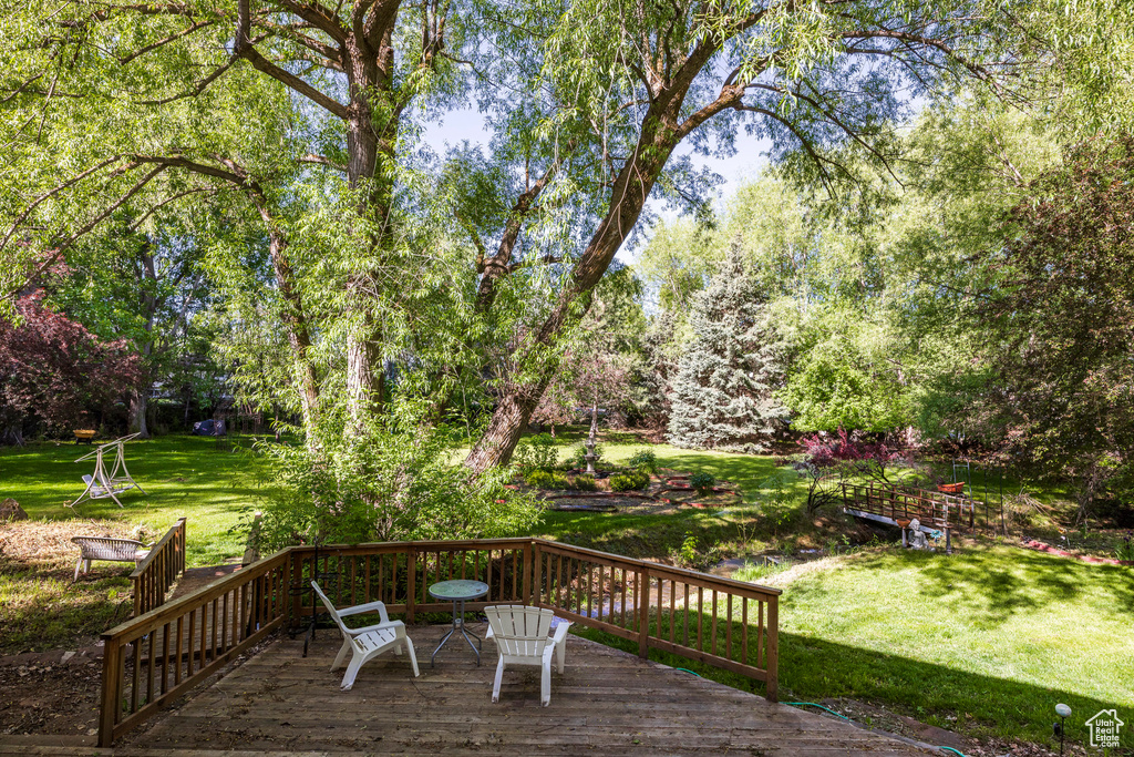 Wooden terrace with a lawn