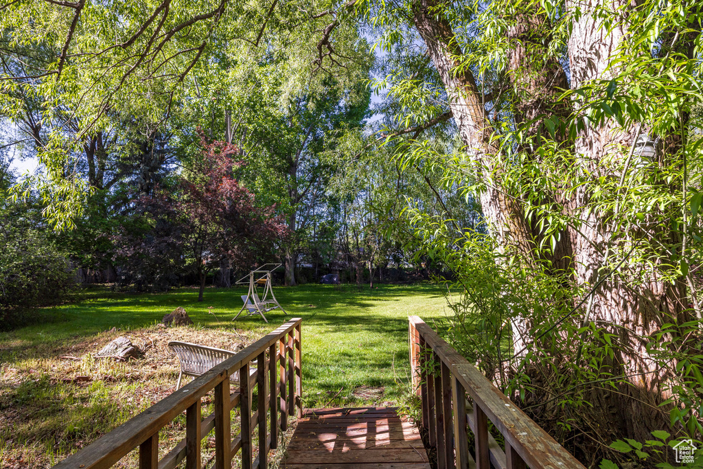 Deck with a lawn