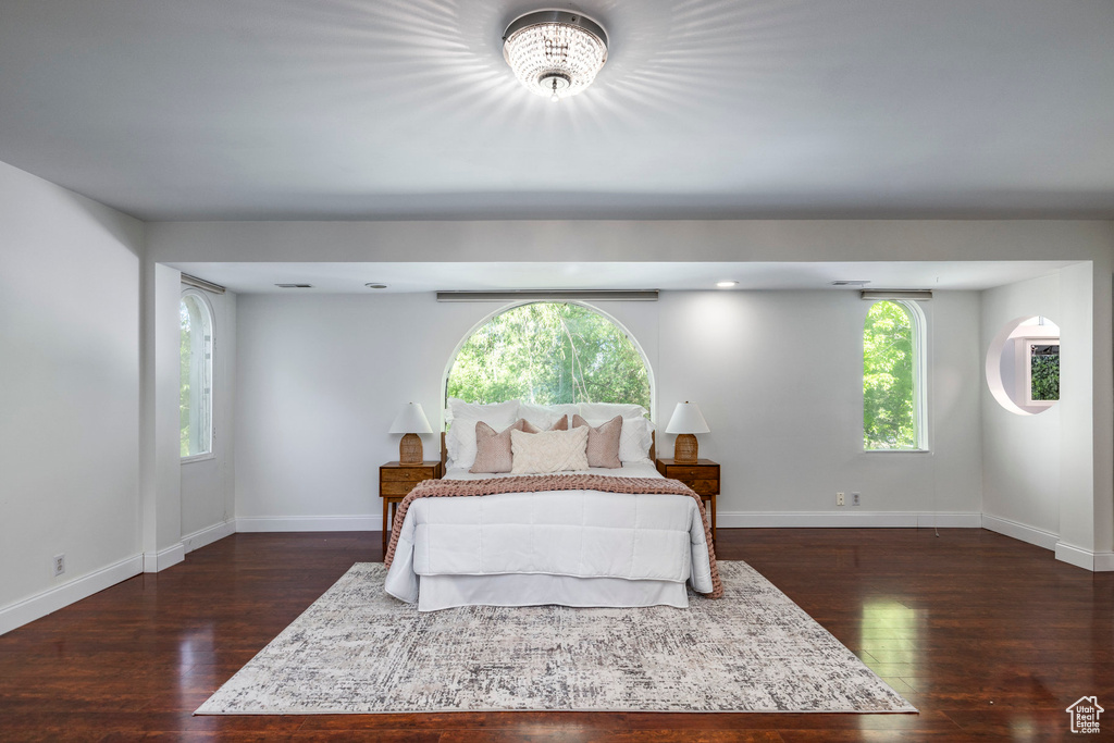 Bedroom with dark hardwood / wood-style floors and multiple windows