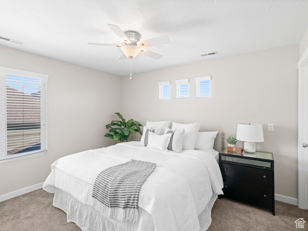 Carpeted bedroom featuring multiple windows and ceiling fan