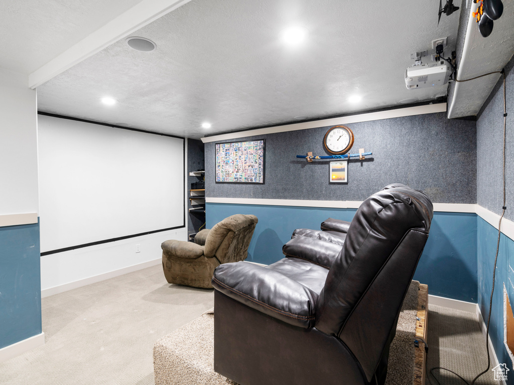 Carpeted cinema featuring a textured ceiling