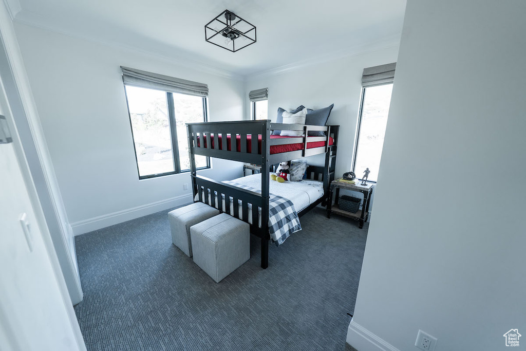 Carpeted bedroom with ornamental molding and multiple windows