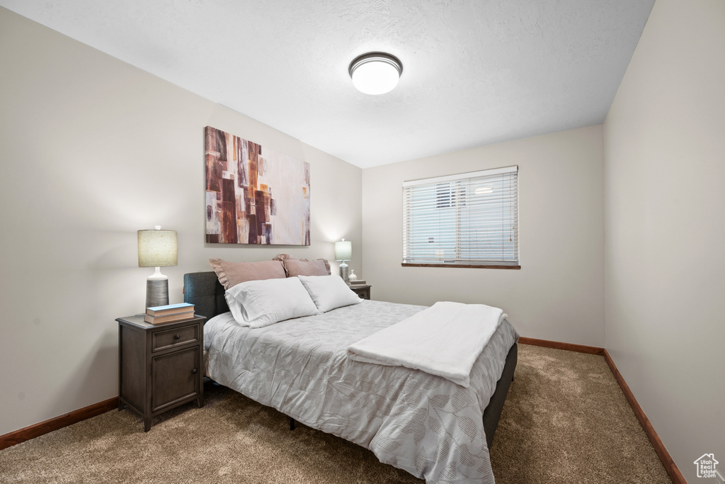 Bedroom featuring carpet floors