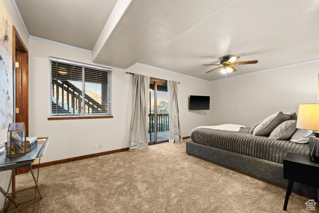 Carpeted bedroom with ceiling fan, ornamental molding, multiple windows, and access to exterior