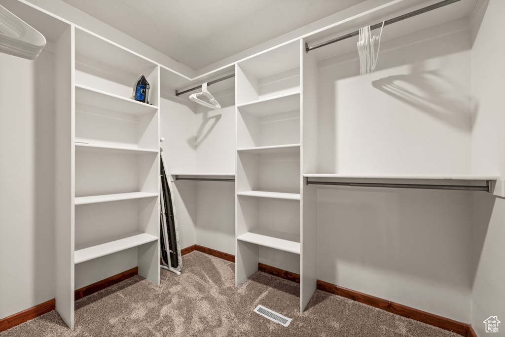 Spacious closet with carpet