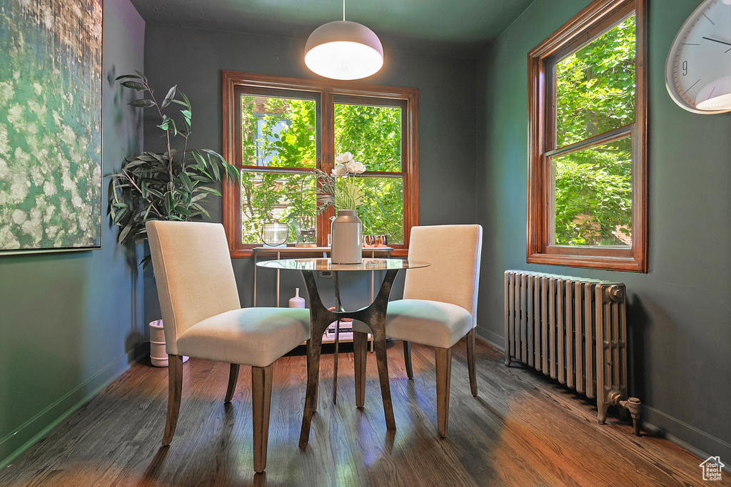 Dining area with plenty of natural light, radiator heating unit, and dark hardwood / wood-style flooring