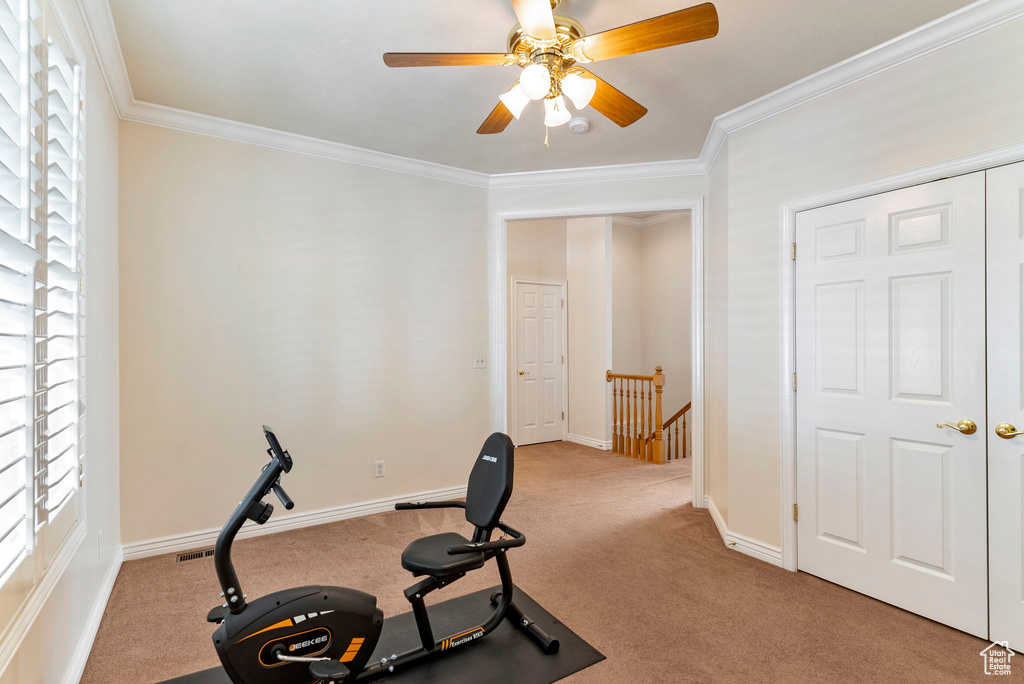 Exercise room featuring ceiling fan, ornamental molding, and carpet flooring