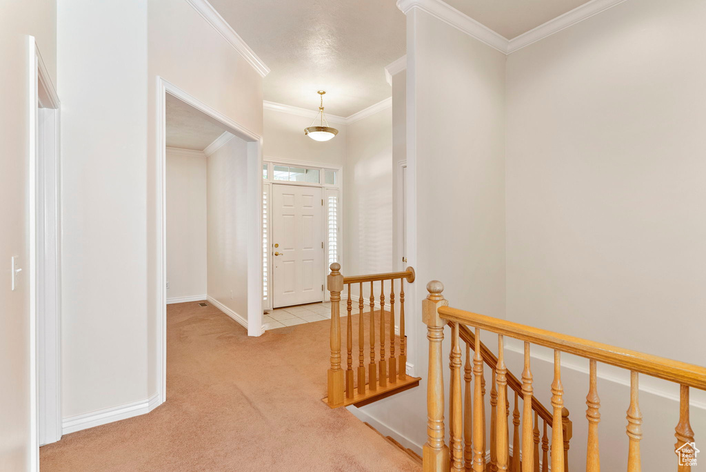 Hallway with light colored carpet and ornamental molding