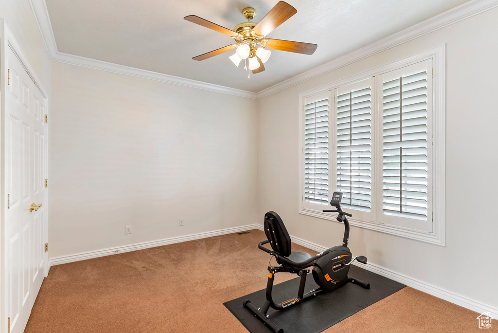 Workout room with carpet, ceiling fan, and ornamental molding