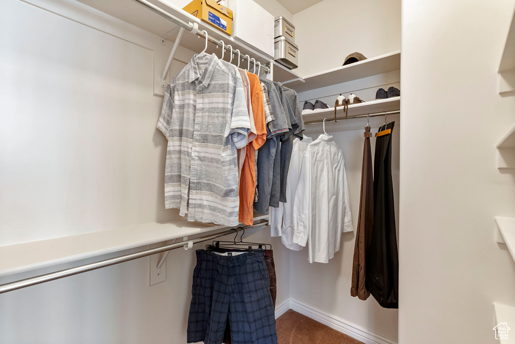 Spacious closet with carpet floors