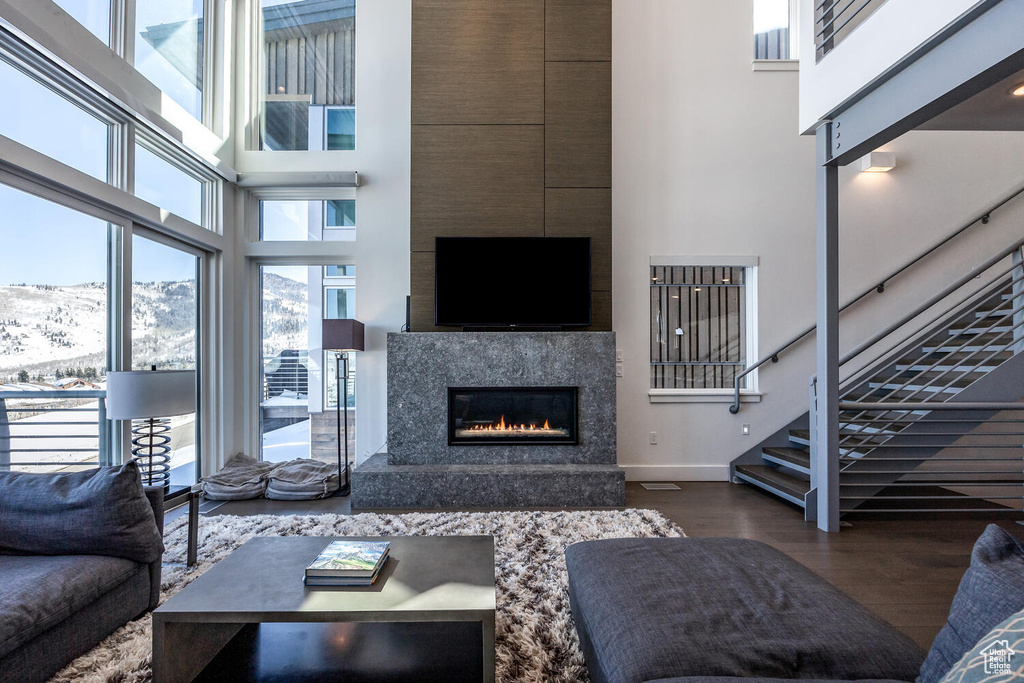 Living room featuring a high ceiling, dark hardwood / wood-style floors, and a premium fireplace