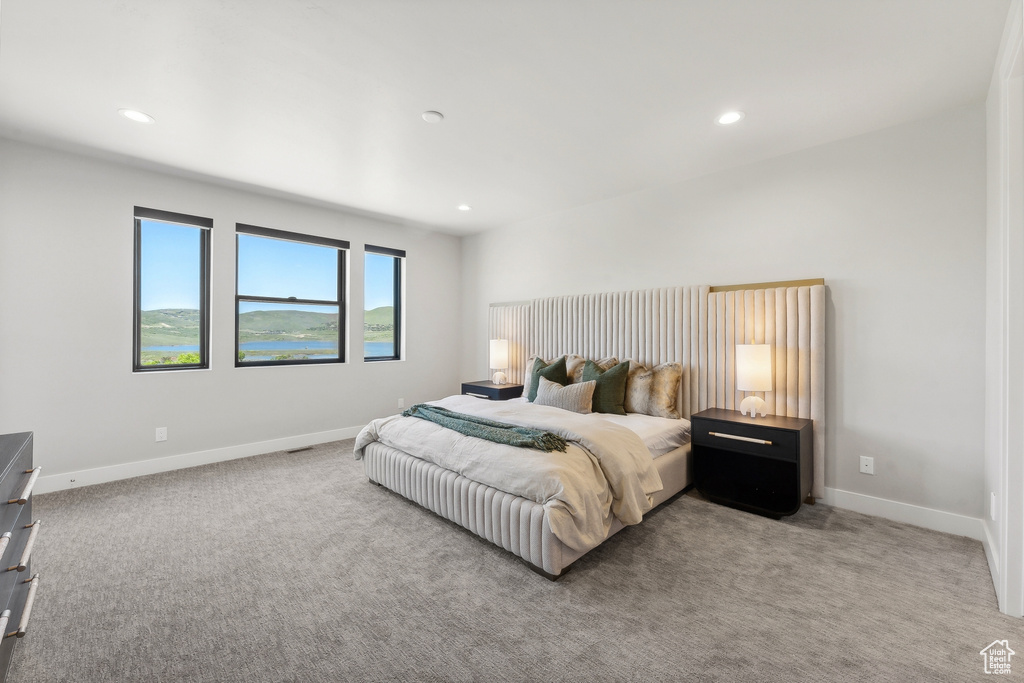 Bedroom with carpet floors