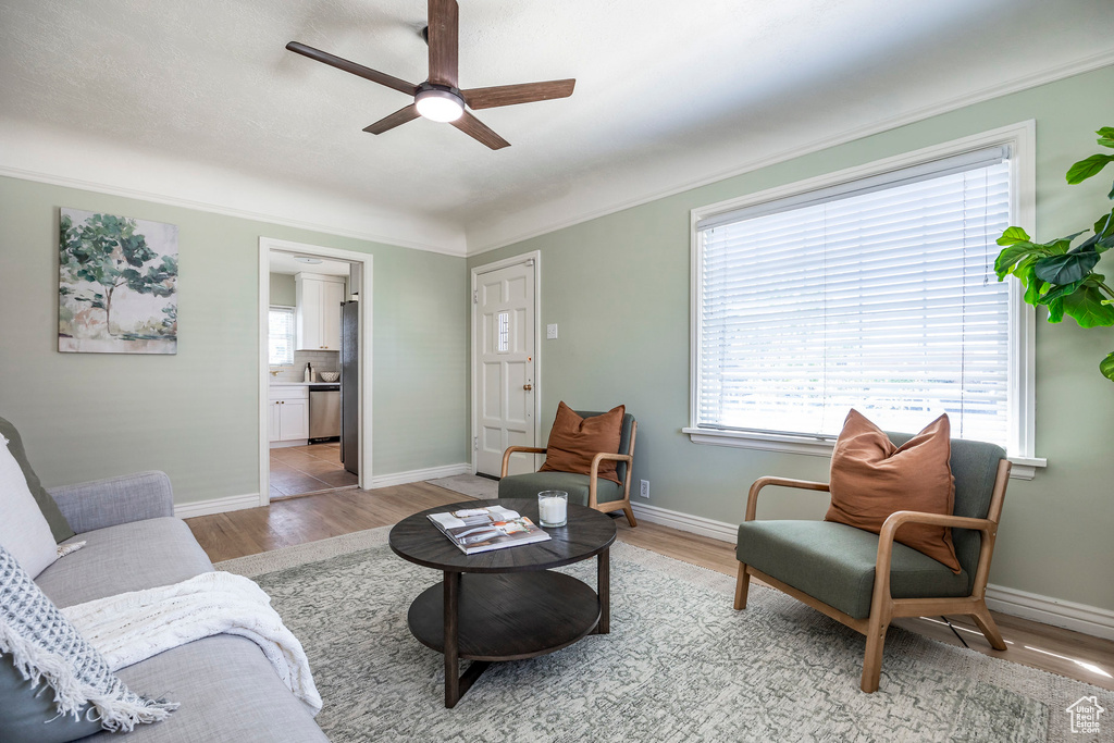 Living room featuring ceiling fan, light hardwood / wood-style floors, and crown molding