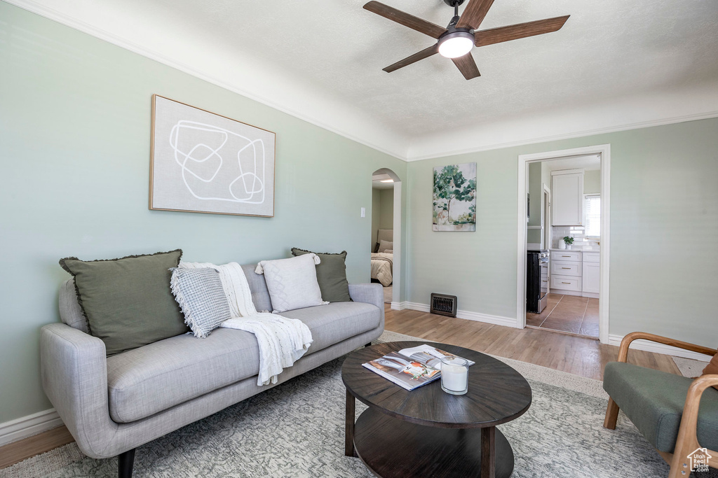 Living room with crown molding, ceiling fan, and light hardwood / wood-style floors