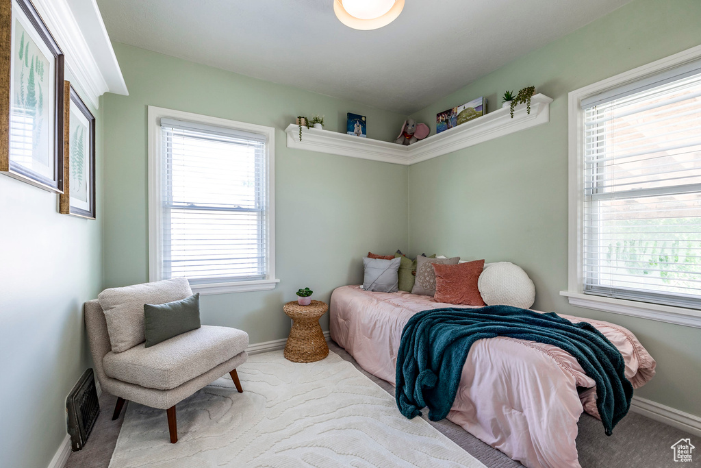 Carpeted bedroom with multiple windows