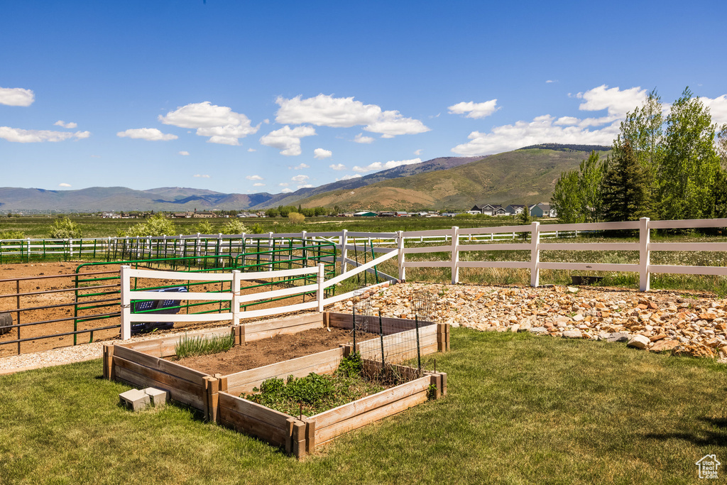 View of yard with a mountain view and a rural view