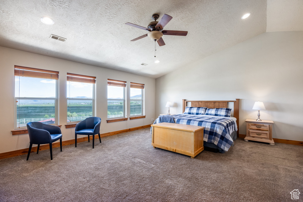 Carpeted bedroom featuring a textured ceiling, ceiling fan, and lofted ceiling