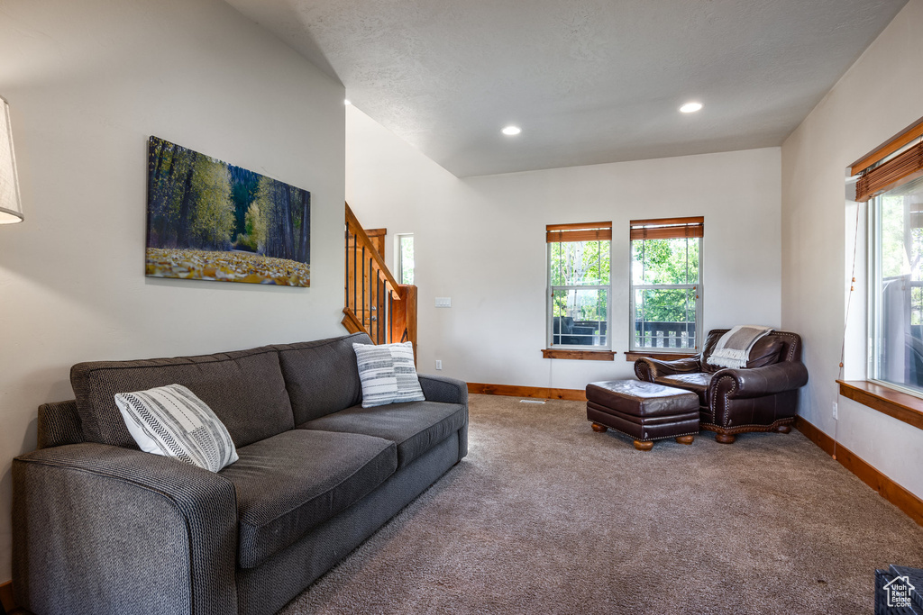 Carpeted living room with plenty of natural light