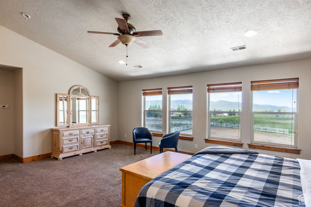 Bedroom with carpet, a textured ceiling, ceiling fan, and lofted ceiling