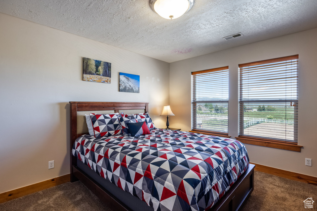 Carpeted bedroom with a textured ceiling