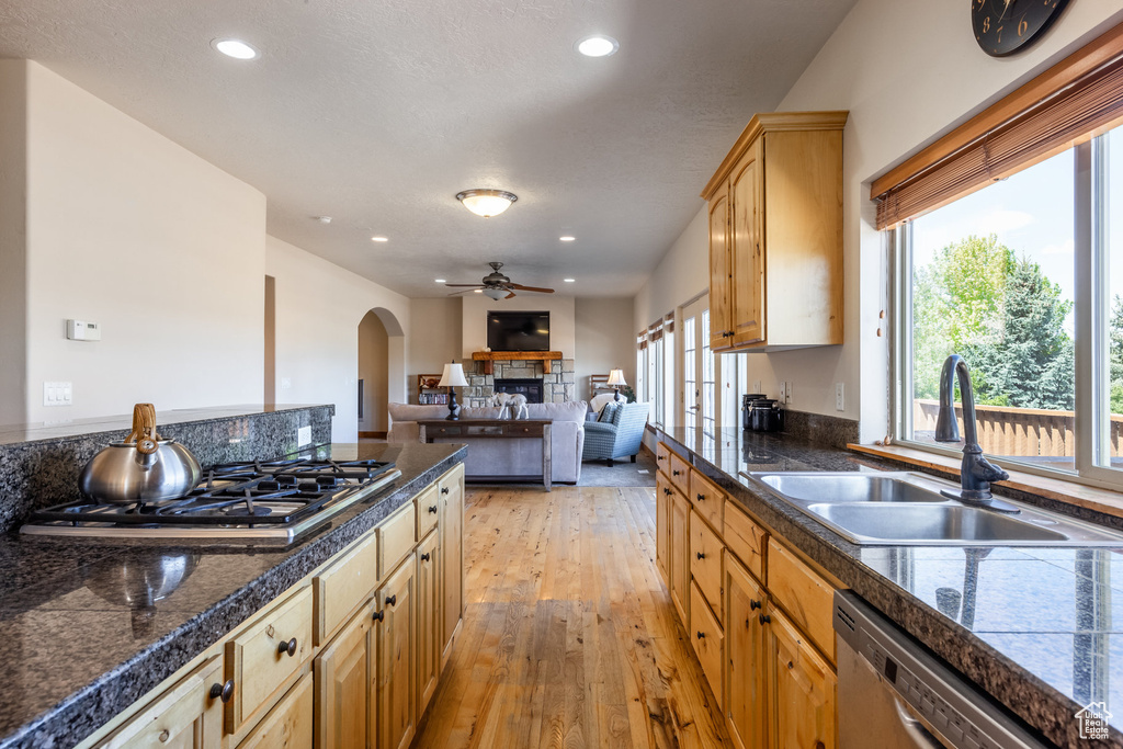 Kitchen featuring appliances with stainless steel finishes, sink, a wealth of natural light, and light wood-type flooring