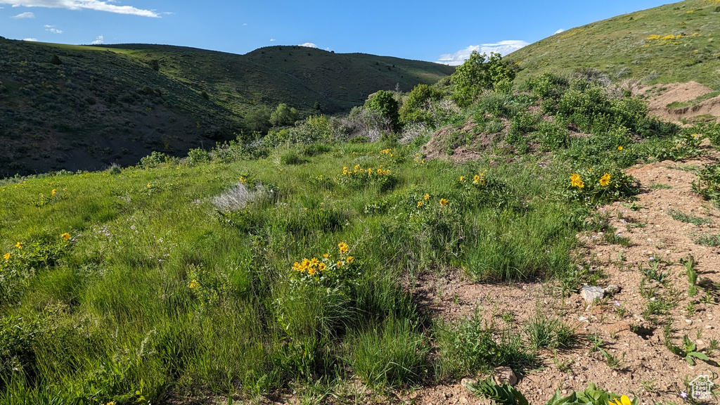 View of mountain feature