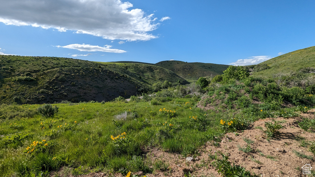 View of mountain feature