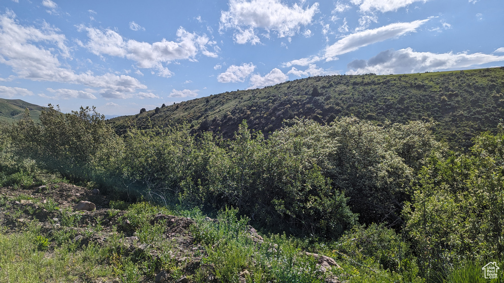 View of mountain view