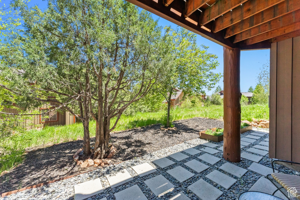 View of patio