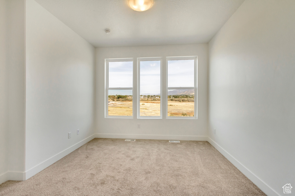 View of carpeted spare room