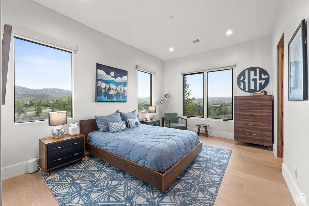 Bedroom featuring light hardwood / wood-style floors