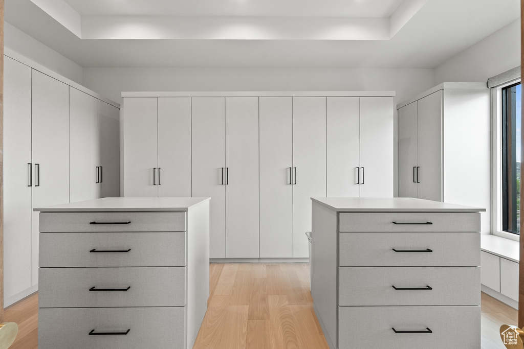 Spacious closet with light wood-type flooring and a raised ceiling