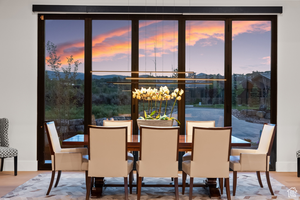 Dining space with hardwood / wood-style flooring