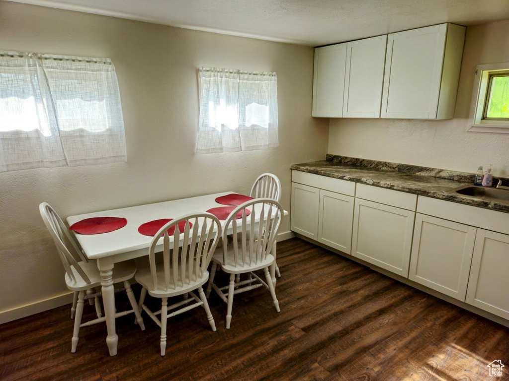 Dining space with sink and dark hardwood / wood-style flooring