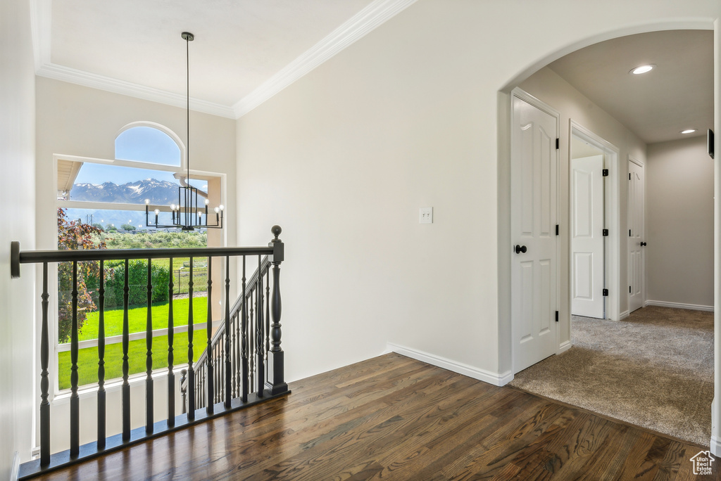 Hallway featuring a chandelier, a wealth of natural light, ornamental molding, and dark carpet