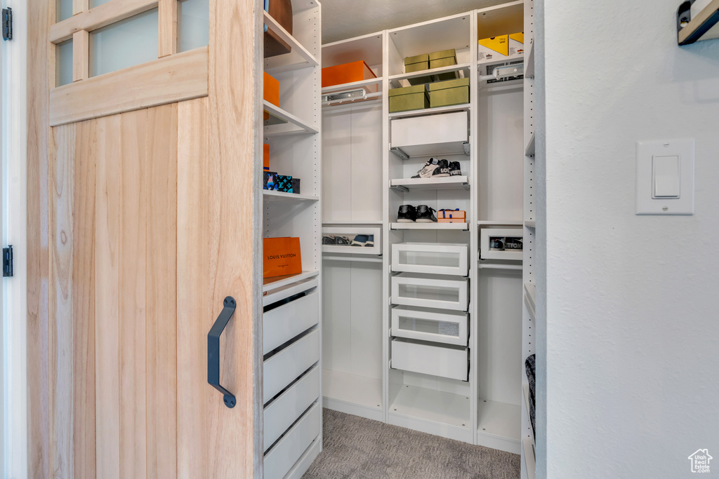 Spacious closet featuring carpet