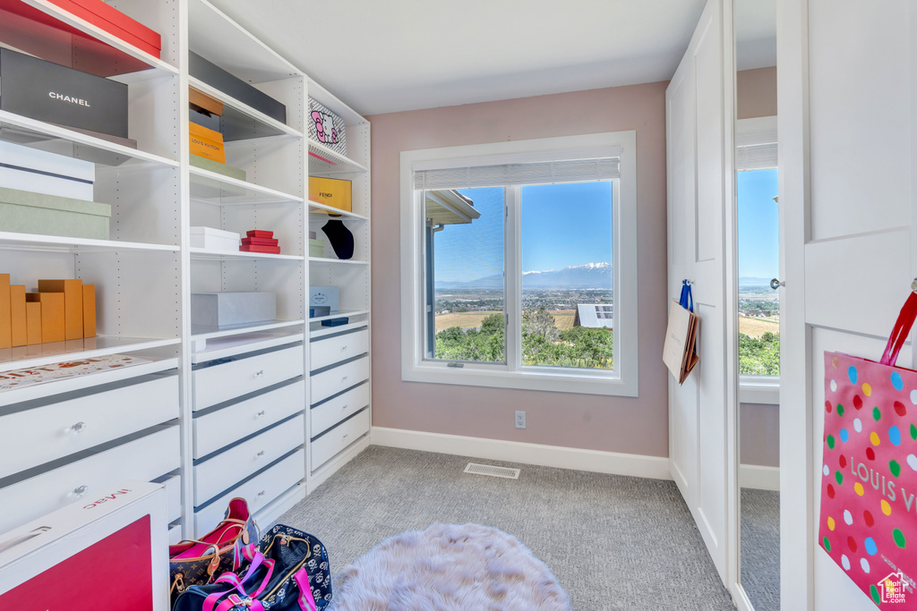 Interior space featuring carpet floors