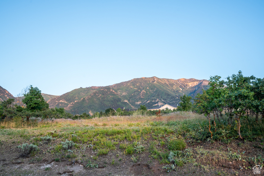 View of property view of mountains