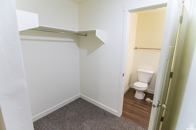 Walk in closet featuring dark wood-type flooring