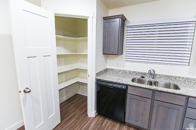 Kitchen featuring light stone countertops, dark hardwood / wood-style flooring, dark brown cabinets, sink, and dishwasher