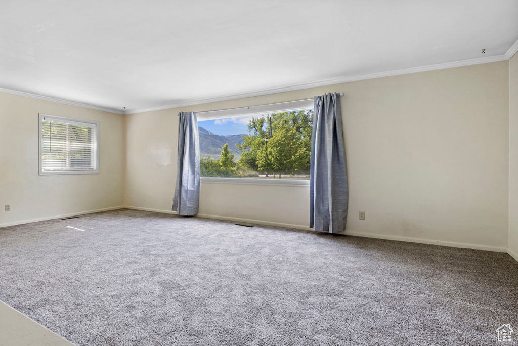 Spare room with a healthy amount of sunlight and carpet flooring