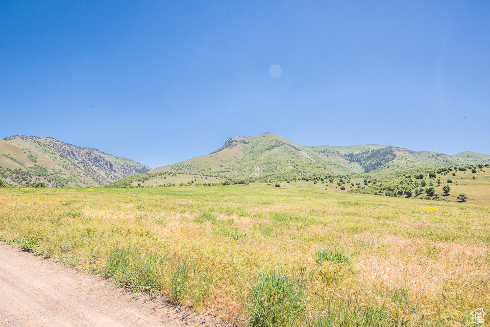 View of mountain feature featuring a rural view