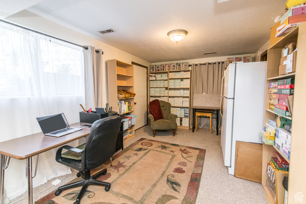 Office area featuring light carpet