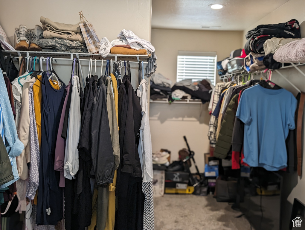 Spacious closet featuring carpet