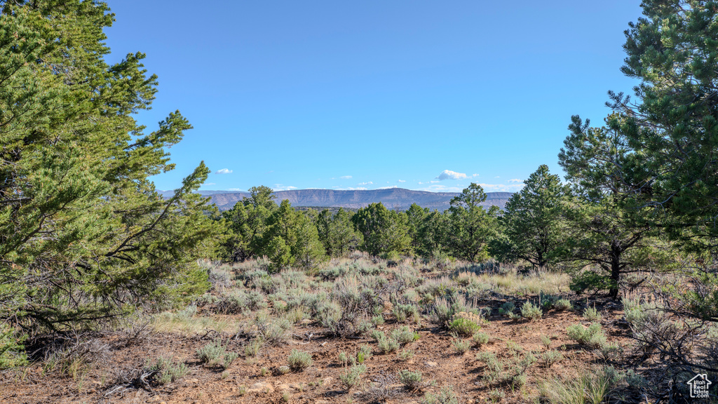 View of mountain view