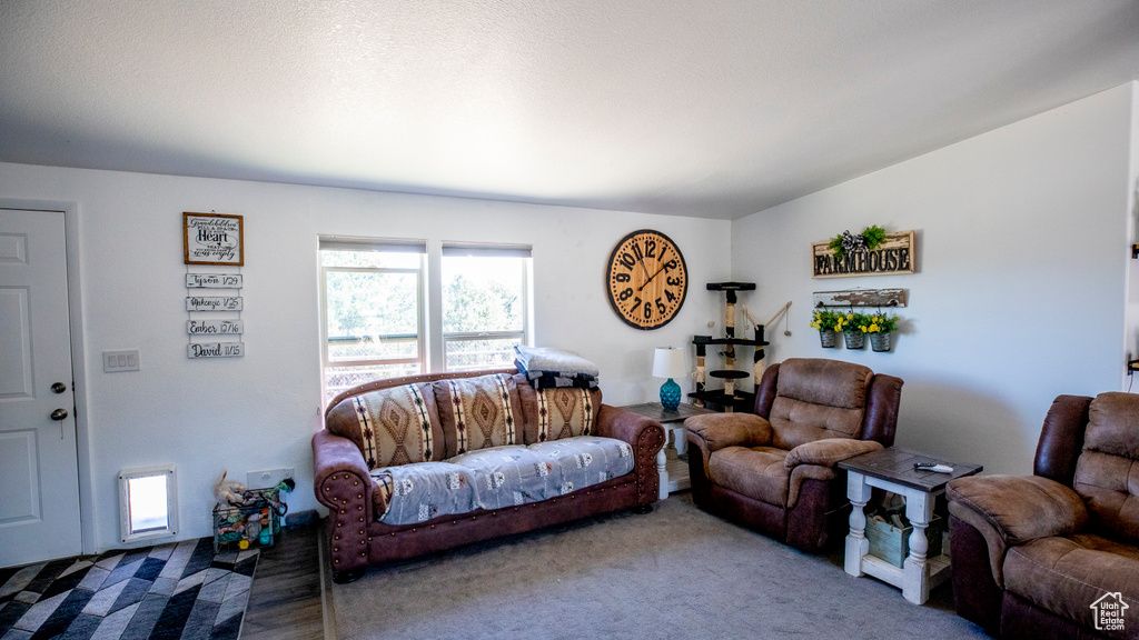 Living room with carpet floors