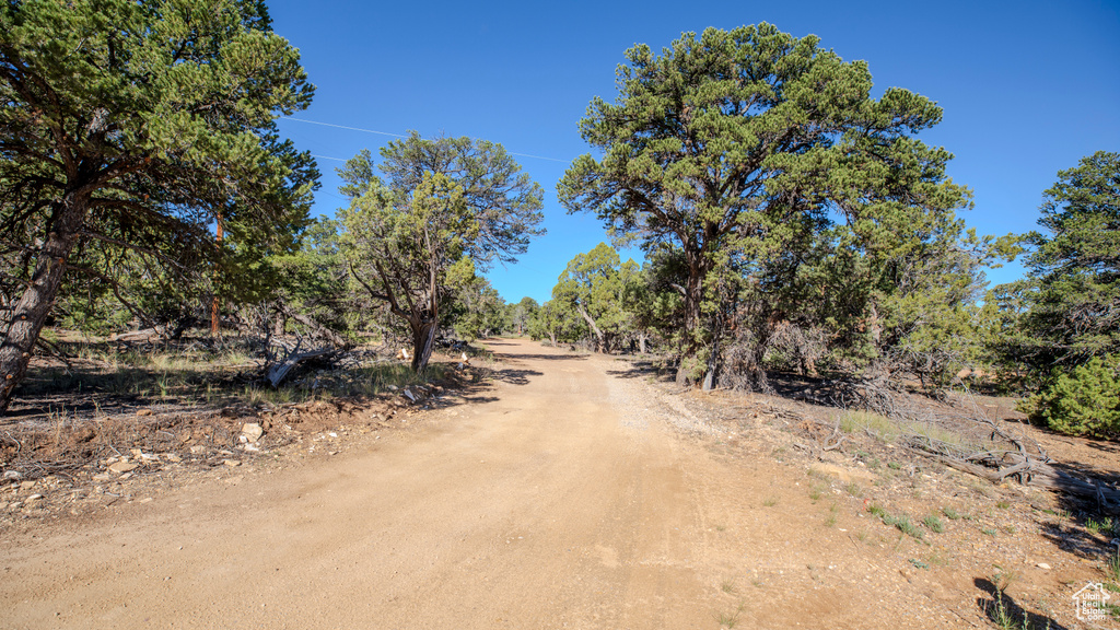 View of road